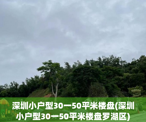 深圳小户型30一50平米楼盘(深圳小户型30一50平米楼盘罗湖区) 深圳小户型30一50平米楼盘(深圳小户型30一50平米楼盘罗湖区)