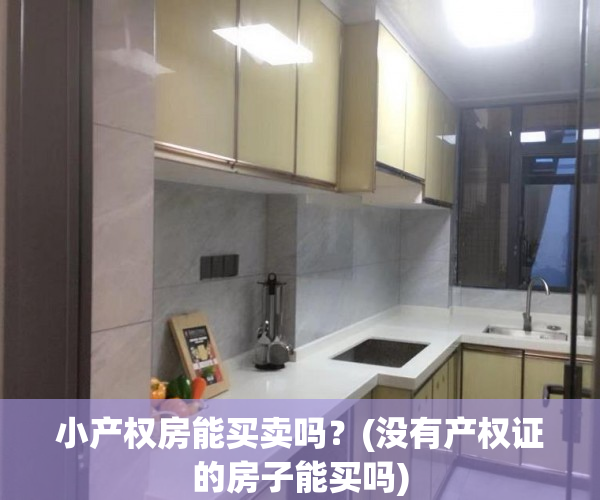 小产权房能买卖吗?(没有产权证的房子能买吗) 小产权房能买卖吗?(没有产权证的房子能买吗)