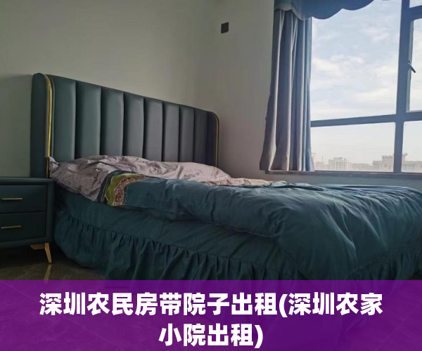 深圳农民房带院子出租(深圳农家小院出租)