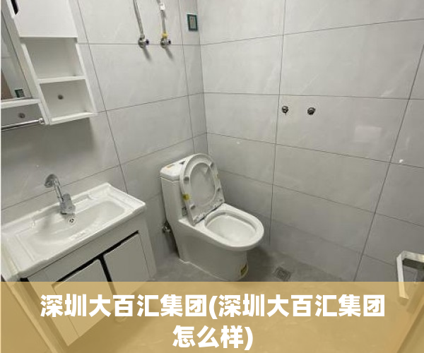 深圳大百汇集团(深圳大百汇集团怎么样) 深圳大百汇集团(深圳大百汇集团怎么样)