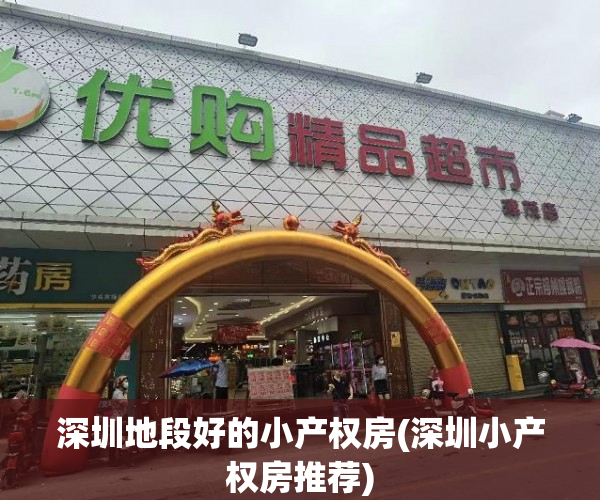 深圳地段好的小产权房(深圳小产权房推荐)