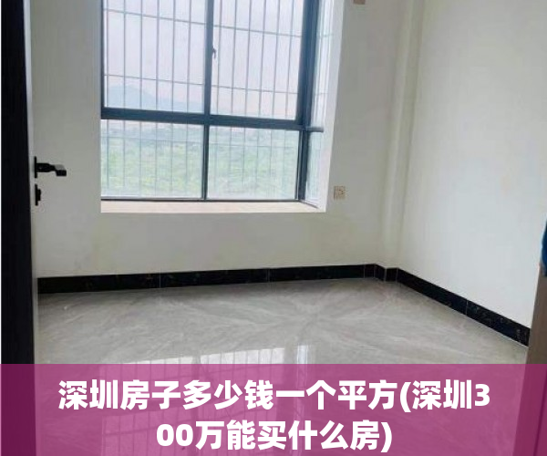 深圳房子多少钱一个平方(深圳300万能买什么房)