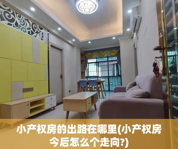 小产权房的出路在哪里(小产权房今后怎么个走向?) 小产权房的出路在哪里(小产权房今后怎么个走向?)