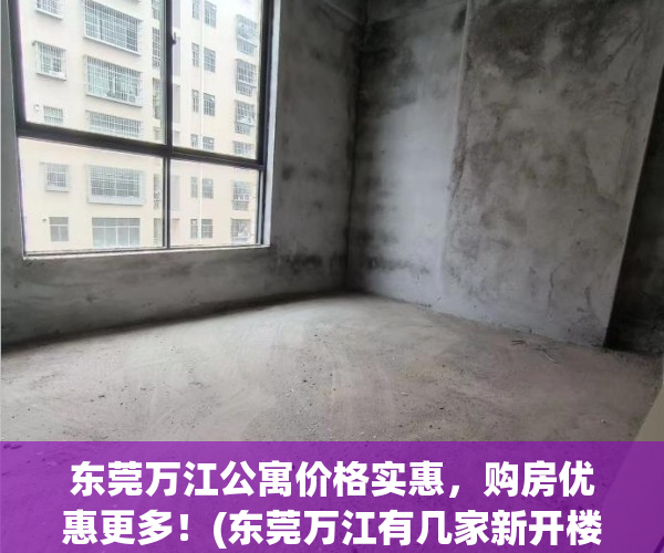 东莞万江公寓价格实惠，购房优惠更多！(东莞万江有几家新开楼盘)