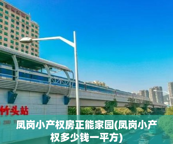 凤岗小产权房正能家园(凤岗小产权多少钱一平方) 凤岗小产权房正能家园(凤岗小产权多少钱一平方)