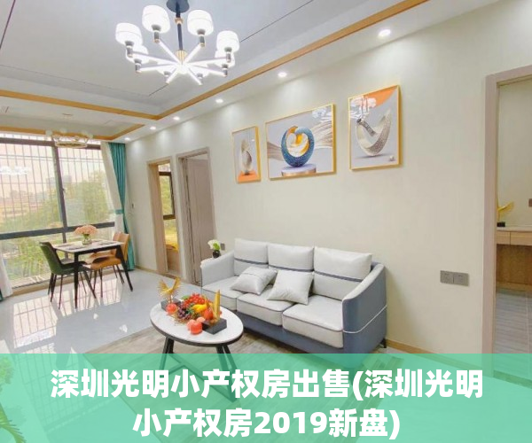 深圳光明小产权房出售(深圳光明小产权房2019新盘)