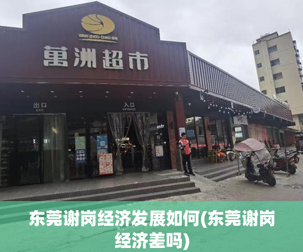 东莞谢岗经济发展如何(东莞谢岗经济差吗)
