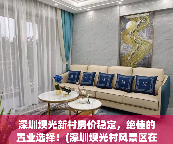 深圳坝光新村房价稳定，绝佳的置业选择！(深圳坝光村风景区在哪)