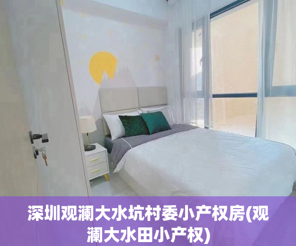 深圳观澜大水坑村委小产权房(观澜大水田小产权)