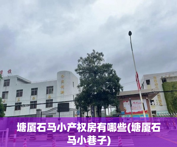 塘厦石马小产权房有哪些(塘厦石马小巷子) 塘厦石马小产权房有哪些(塘厦石马小巷子)
