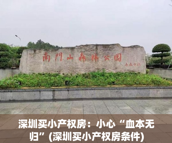 深圳买小产权房：小心“血本无归”(深圳买小产权房条件)