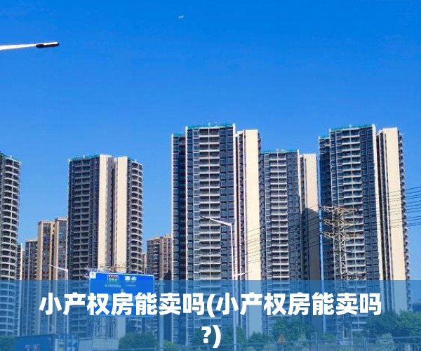 小产权房能卖吗(小产权房能卖吗?)