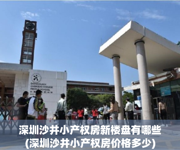 深圳沙井小产权房新楼盘有哪些(深圳沙井小产权房价格多少)
