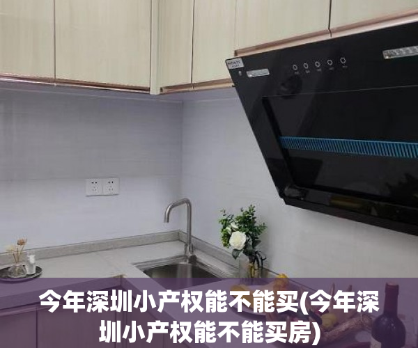 今年深圳小产权能不能买(今年深圳小产权能不能买房)