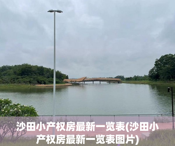 沙田小产权房最新一览表(沙田小产权房最新一览表图片) 沙田小产权房最新一览表(沙田小产权房最新一览表图片)
