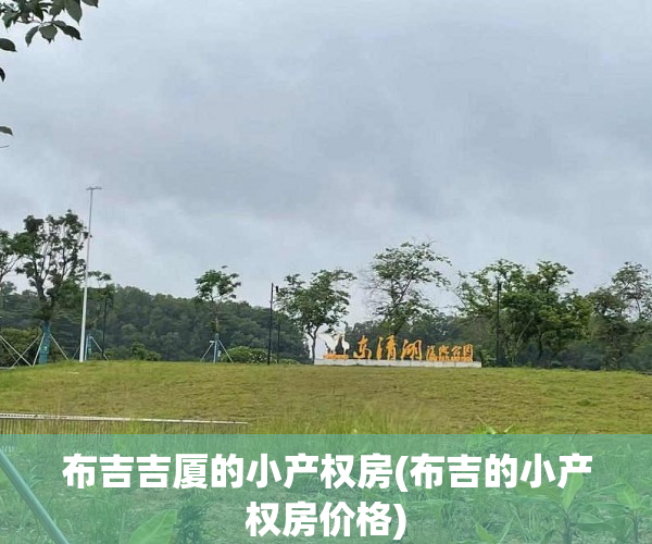 布吉吉厦的小产权房(布吉的小产权房价格)