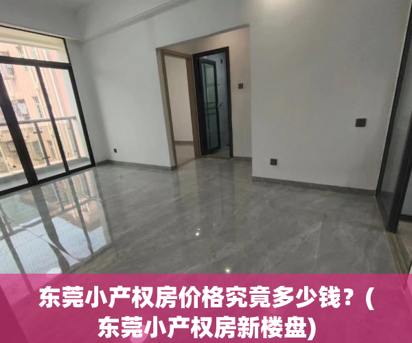 东莞小产权房价格究竟多少钱？(东莞小产权房新楼盘)