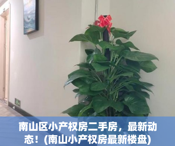 南山区小产权房二手房，最新动态！(南山小产权房最新楼盘)