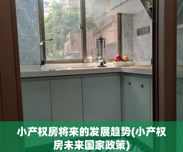 小产权房将来的发展趋势(小产权房未来国家政策)