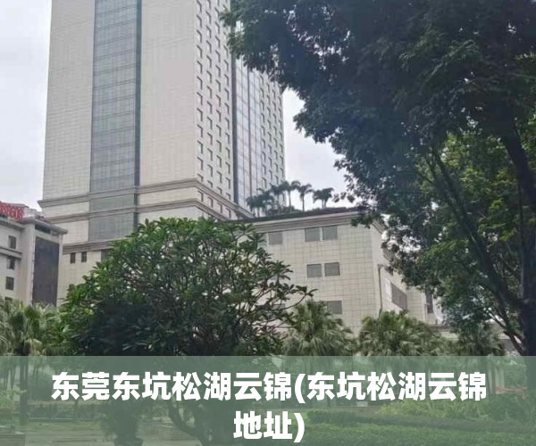东莞东坑松湖云锦(东坑松湖云锦地址)