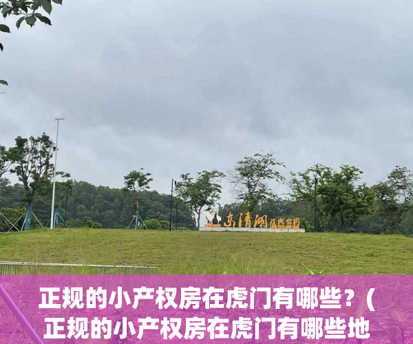 正规的小产权房在虎门有哪些？(正规的小产权房在虎门有哪些地方)
