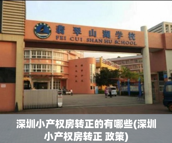 深圳小产权房转正的有哪些(深圳小产权房转正 政策)