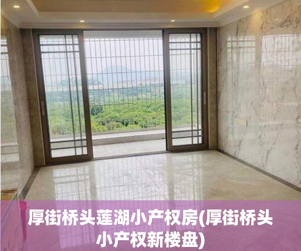 厚街桥头莲湖小产权房(厚街桥头小产权新楼盘) 厚街桥头莲湖小产权房(厚街桥头小产权新楼盘)