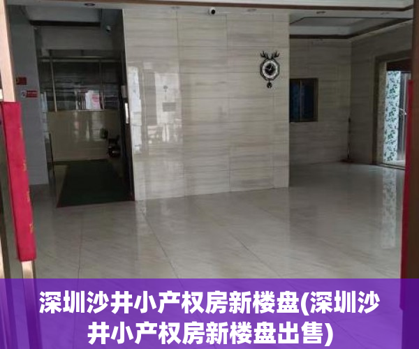 深圳沙井小产权房新楼盘(深圳沙井小产权房新楼盘出售)