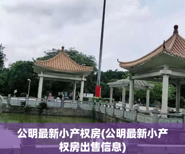 公明最新小产权房(公明最新小产权房出售信息)