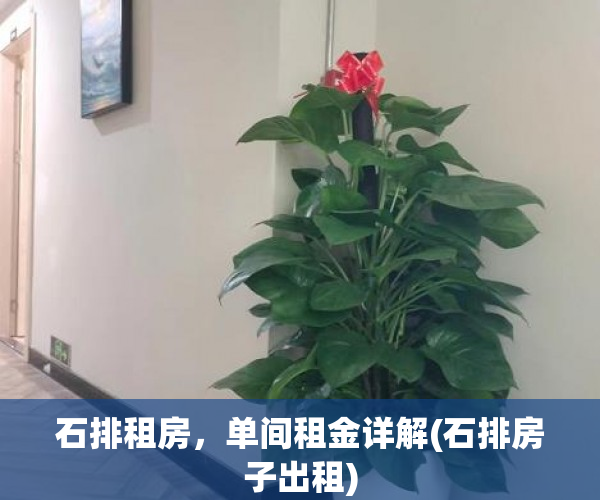石排租房，单间租金详解(石排房子出租)