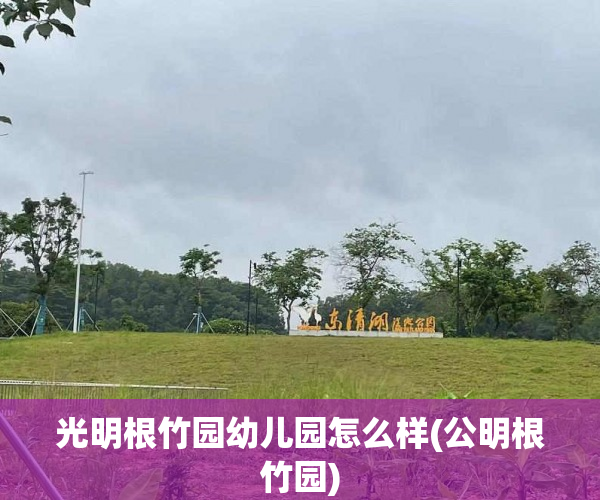 光明根竹园幼儿园怎么样(公明根竹园)