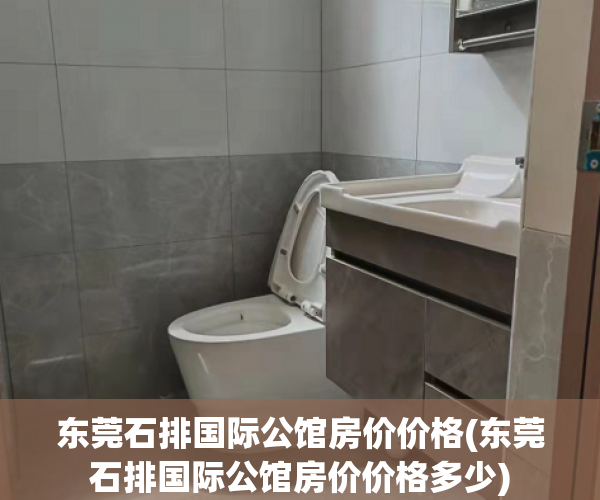 东莞石排国际公馆房价价格(东莞石排国际公馆房价价格多少)