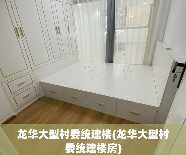 龙华大型村委统建楼(龙华大型村委统建楼房)