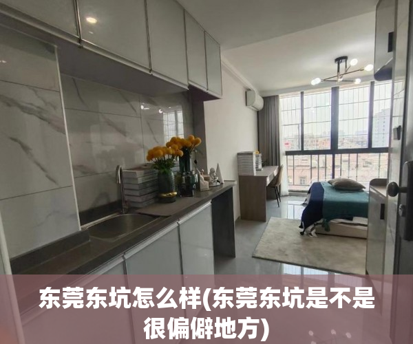 东莞东坑怎么样(东莞东坑是不是很偏僻地方) 东莞东坑怎么样(东莞东坑是不是很偏僻地方)