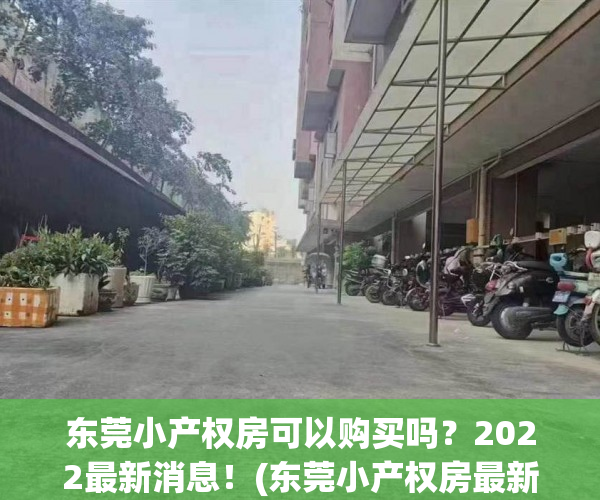 东莞小产权房可以购买吗？2022最新消息！(东莞小产权房最新政策出台)