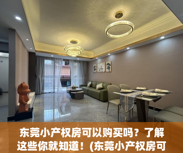 东莞小产权房可以购买吗？了解这些你就知道！(东莞小产权房可以买吗落户吗)