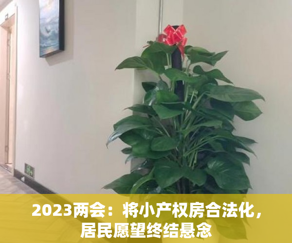 2023两会：将小产权房合法化，居民愿望终结悬念