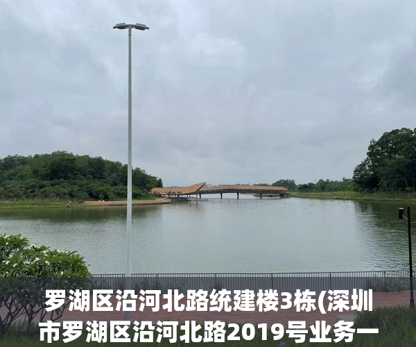 罗湖区沿河北路统建楼3栋(深圳市罗湖区沿河北路2019号业务一楼) 罗湖区沿河北路统建楼3栋(深圳市罗湖区沿河北路2019号业务一楼)