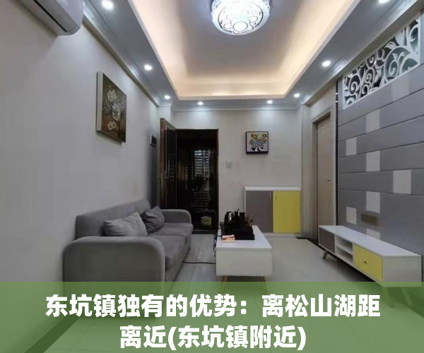 东坑镇独有的优势：离松山湖距离近(东坑镇附近)