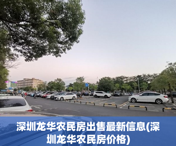 深圳龙华农民房出售最新信息(深圳龙华农民房价格)