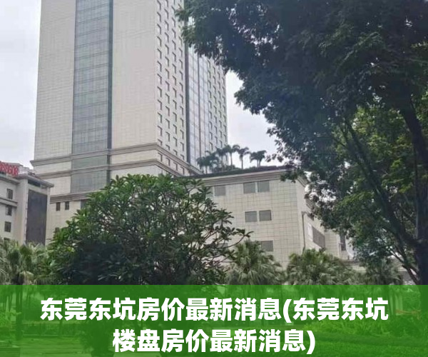 东莞东坑房价最新消息(东莞东坑楼盘房价最新消息)