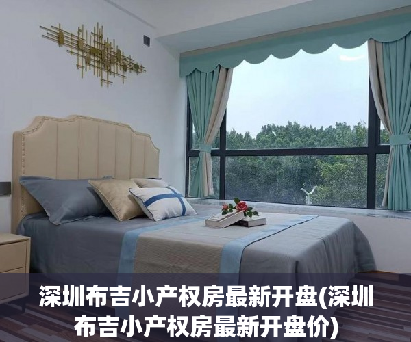 深圳布吉小产权房最新开盘(深圳布吉小产权房最新开盘价)
