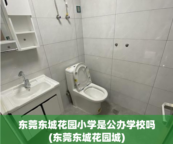 东莞东城花园小学是公办学校吗(东莞东城花园城) 东莞东城花园小学是公办学校吗(东莞东城花园城)