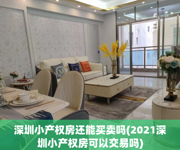 深圳小产权房还能买卖吗(2021深圳小产权房可以交易吗) 深圳小产权房还能买卖吗(2021深圳小产权房可以交易吗)
