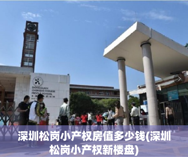 深圳松岗小产权房值多少钱(深圳松岗小产权新楼盘) 深圳松岗小产权房值多少钱(深圳松岗小产权新楼盘)