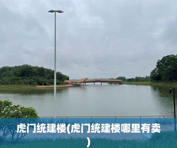 虎门统建楼(虎门统建楼哪里有卖)