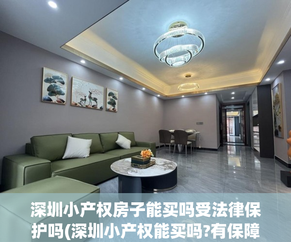 深圳小产权房子能买吗受法律保护吗(深圳小产权能买吗?有保障吗) 深圳小产权房子能买吗受法律保护吗(深圳小产权能买吗?有保障吗)