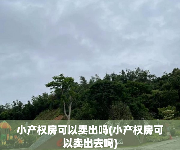 小产权房可以卖出吗(小产权房可以卖出去吗) 小产权房可以卖出吗(小产权房可以卖出去吗)