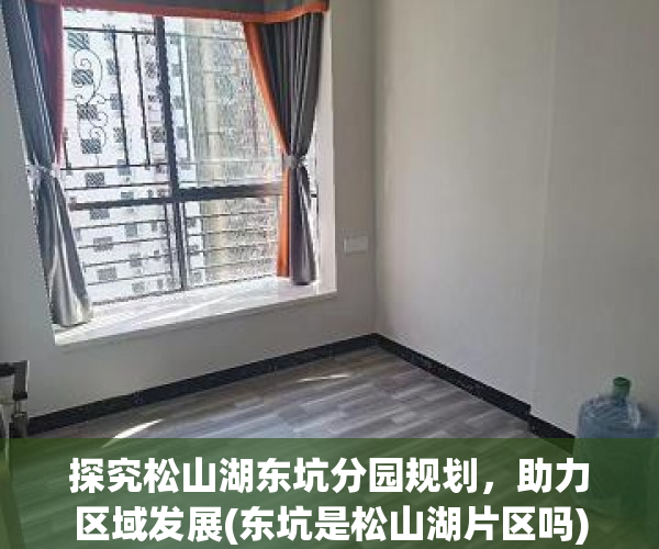 探究松山湖东坑分园规划，助力区域发展(东坑是松山湖片区吗)