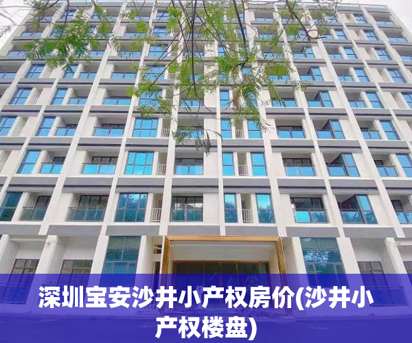 深圳宝安沙井小产权房价(沙井小产权楼盘)